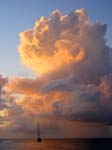 IMG_5639-2