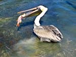 IMG_5753