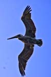 IMG_5995