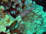 IMG_4711A