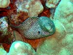 IMG_4712A