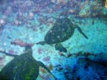 IMG_4719