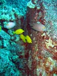 IMG_4727A