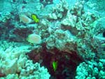 IMG_4729A