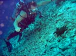 IMG_4731A
