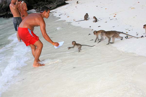IMG_3411